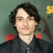 Finn Wolfhard