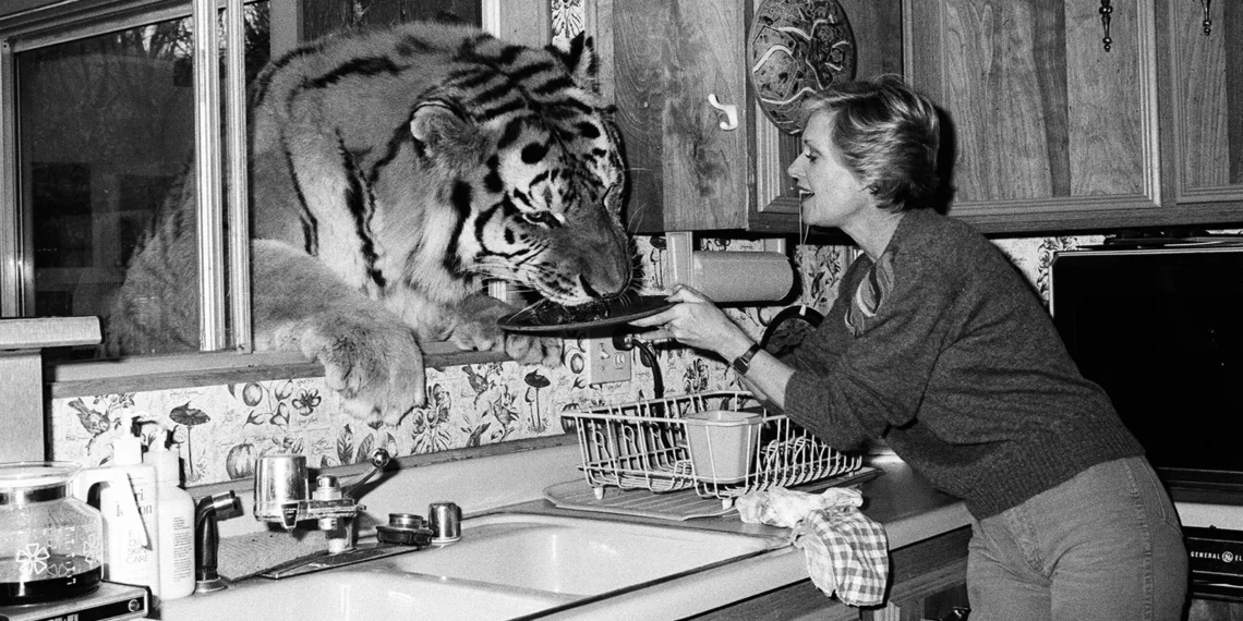 Tippi Hedren