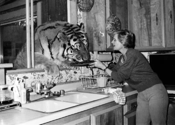 Tippi Hedren